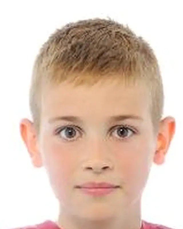 Ive Škoda