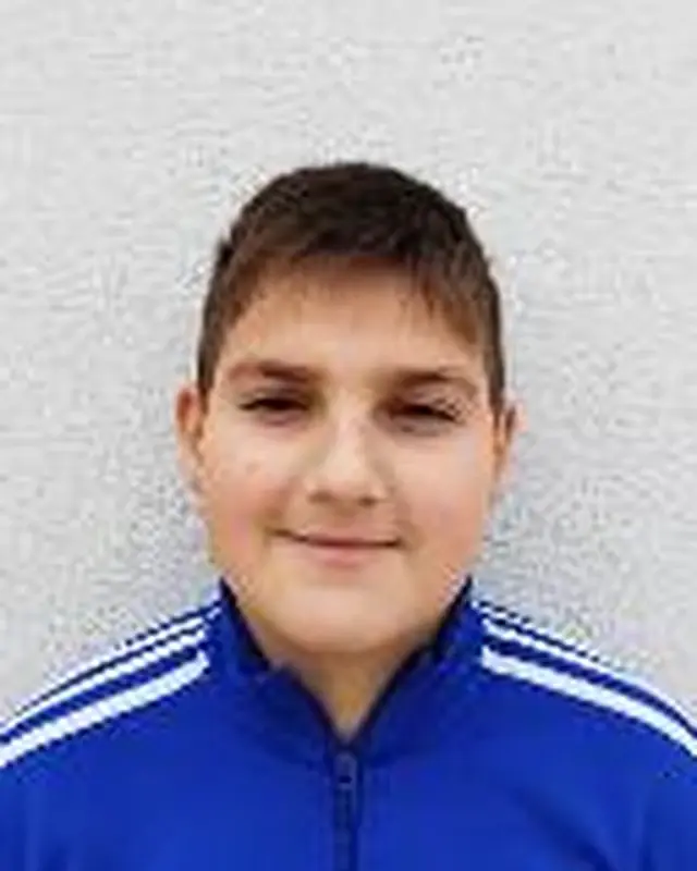 Karlo Barić